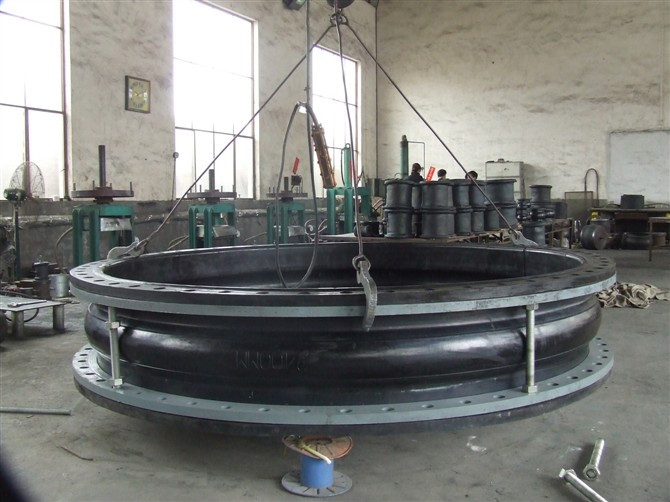 ���������������z���^