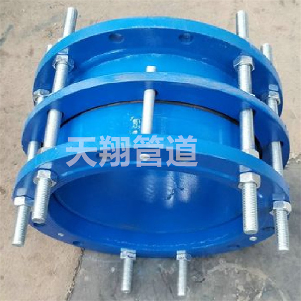 �V����s���^